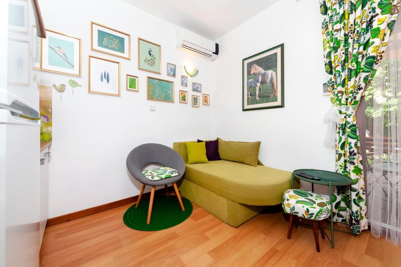 Apartments Aja And Stefy Rovinj Bagian luar foto